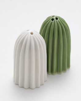 Cactus S/P set